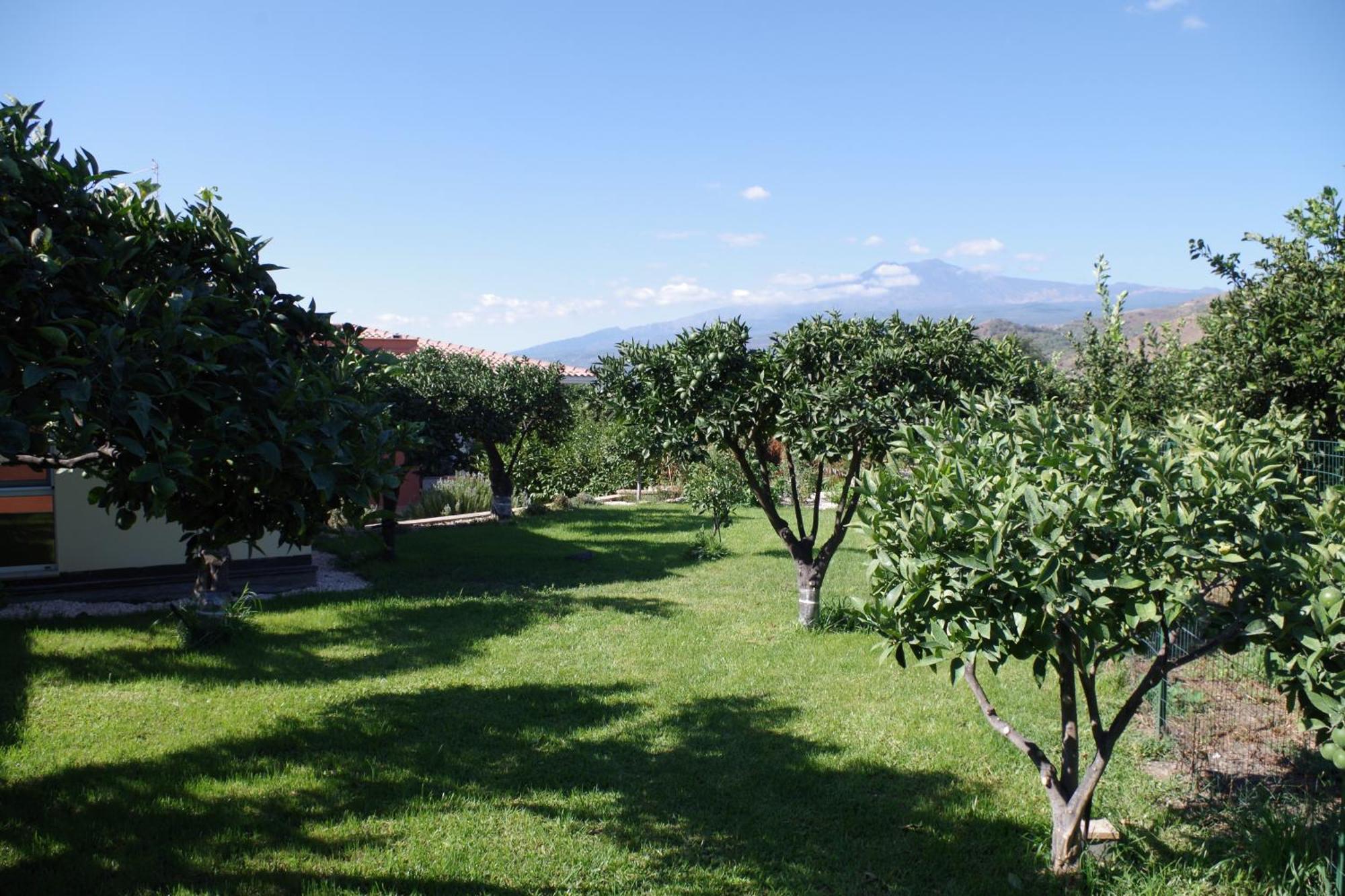 B&B Villa Valentina Ταορμίνα Εξωτερικό φωτογραφία